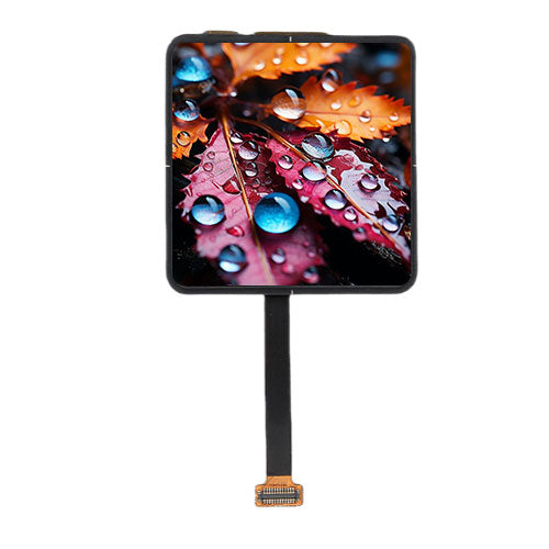 2.0INCH AMOLED Module