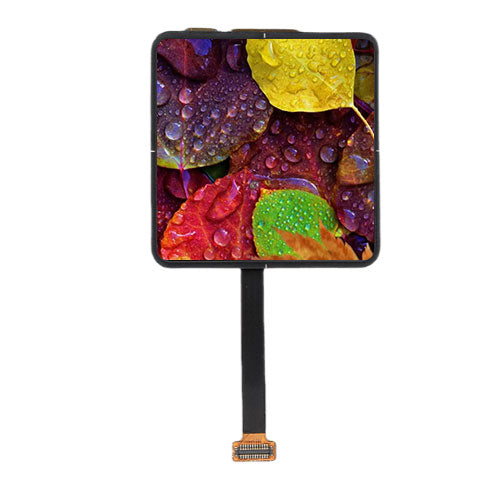 2.0 INCH AMOLED for Wearables & IoT Devices – High Contrast