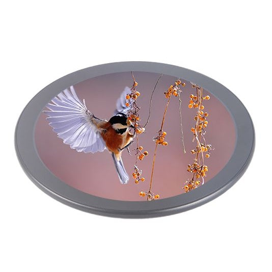 5-inch Round Smart Display Terminal LCD Advertising Screen Specifications