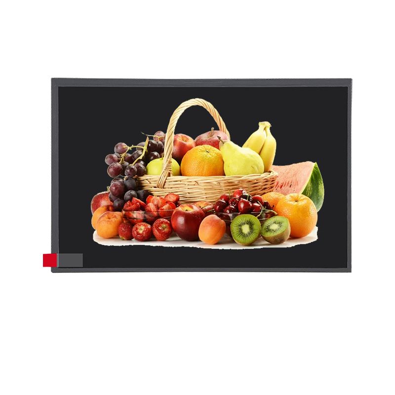 10,1 Zoll Standard 1024x600px MIPI-Schnittstelle TFT ohne Touchscreen